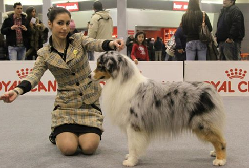 banner2 esp regionale canina monte grappa 2014