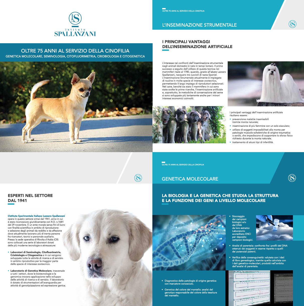 banner_veterinario