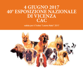 btn_4 giugno